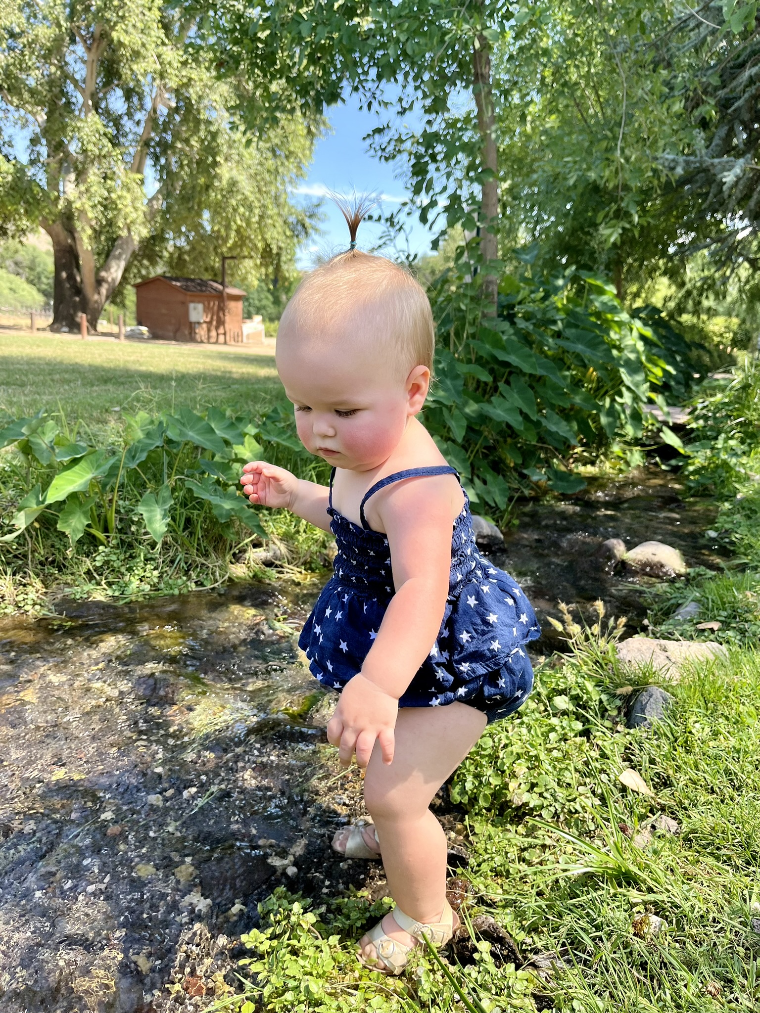 Oak Creek Swimming
